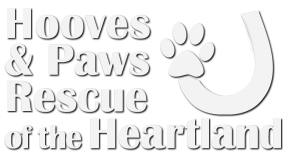 Hooves and Paws Rescue of the Heartland, serving needy horses, donkeys, mules, dogs and puppies throughout Iowa, Nebraska and the midwest.. 'A Place to Heal'