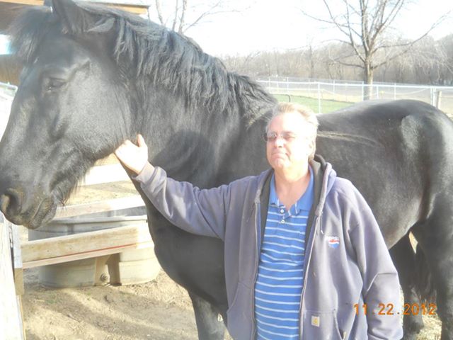 When I Arrived At Hooves & Paws Rescue Of The Heartland I Was Full Of Whip Marks, Starved & Neglected.  Today I Am Healed On The Outside But I Remain Fearful Of Certain Situations & New People