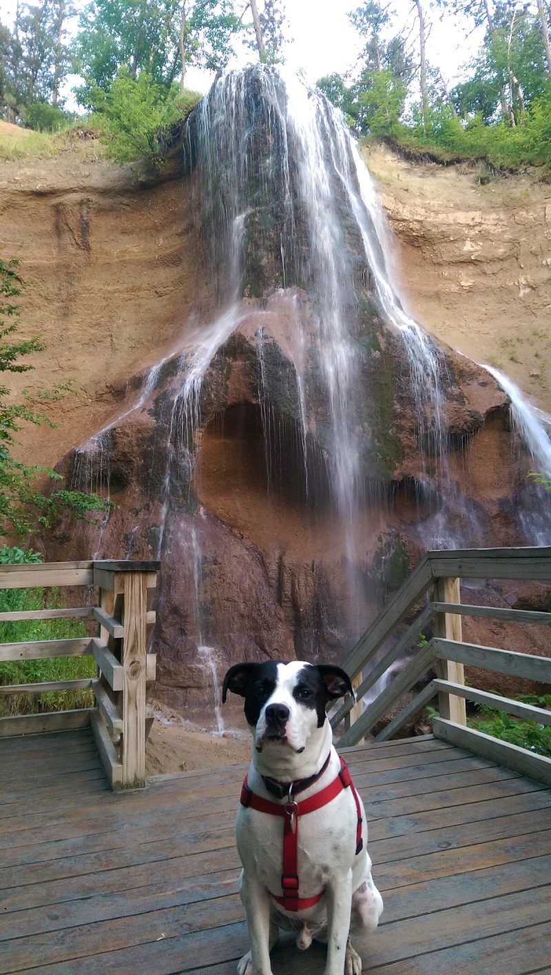 Frank Has Crossed Over Rainbow Bridge 