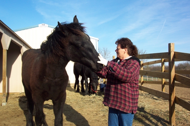 When I Arrived At Hooves & Paws Rescue Of The Heartland At Six Months Old I Was Starved, Neglected & Abused.  I Have Come A Long Way Since I Arrived But I Still Have Health & Behavior Issues. 