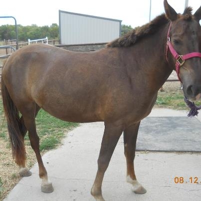 Grace Has Been Adopted!